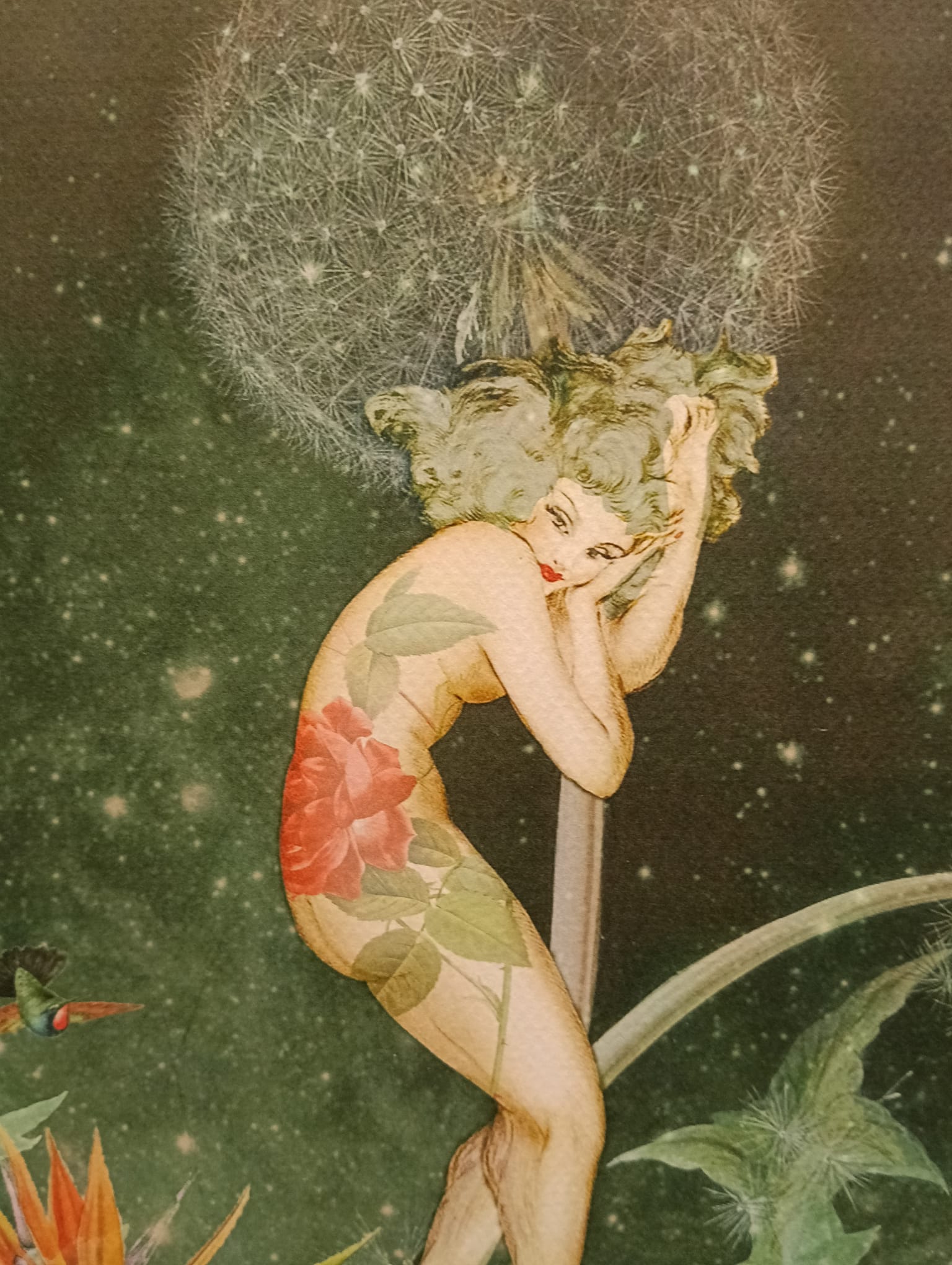 Caja de Luz - Diente de León - Imagen 2