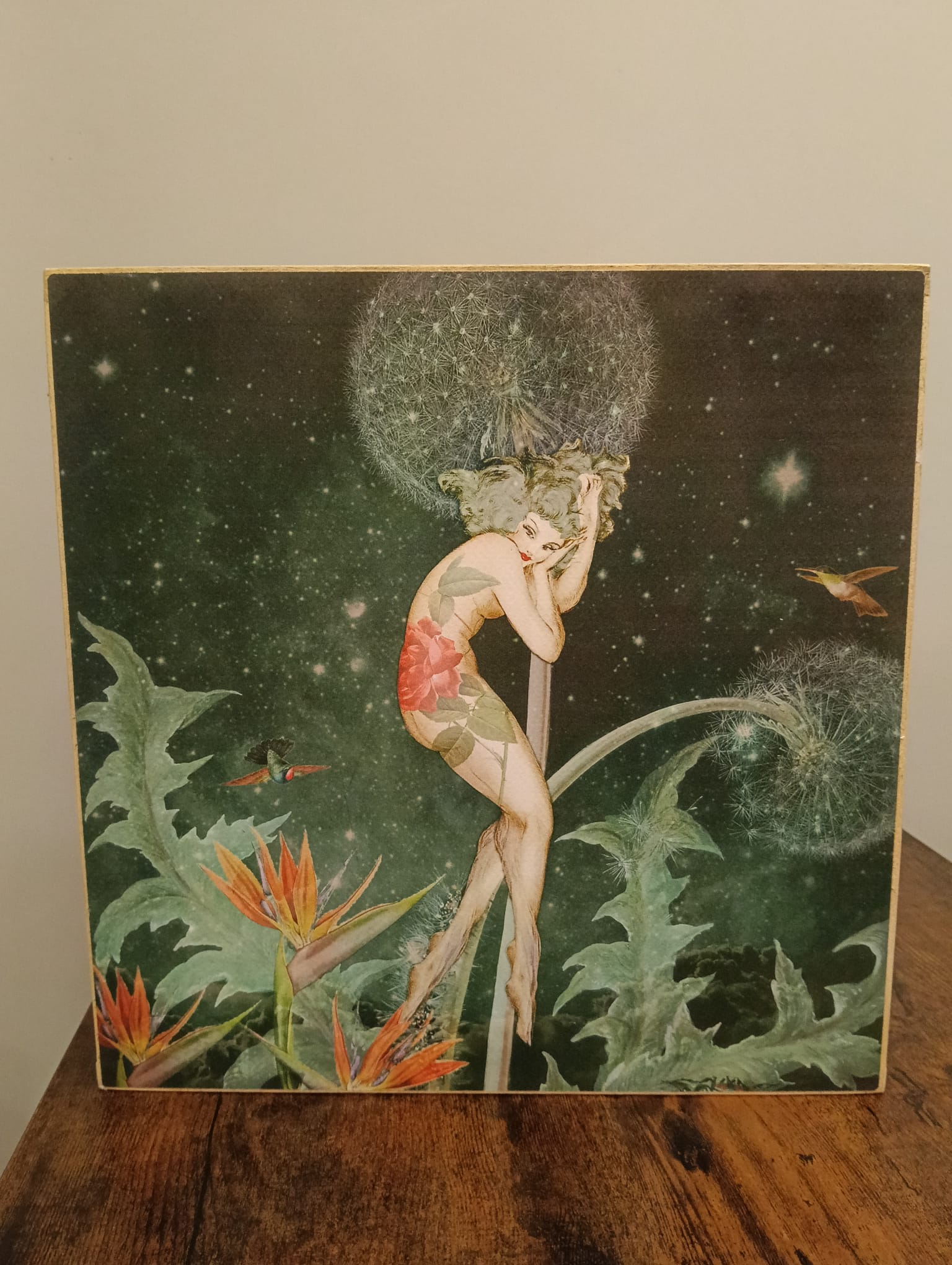 Caja de Luz - Diente de León - Imagen 3