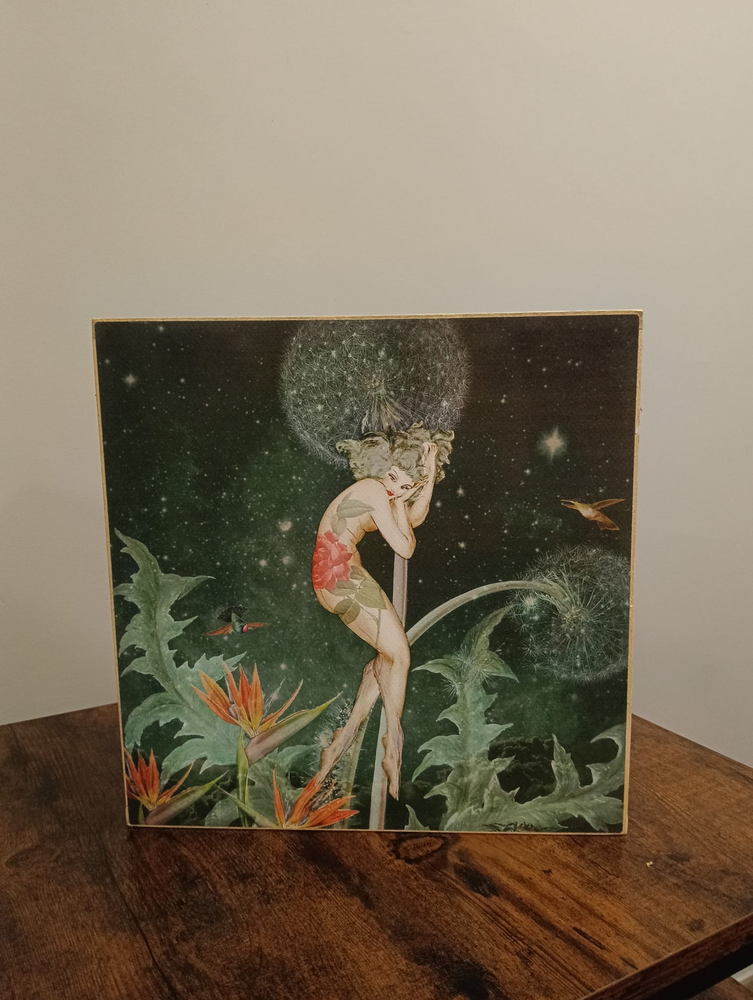 Caja de Luz - Diente de León