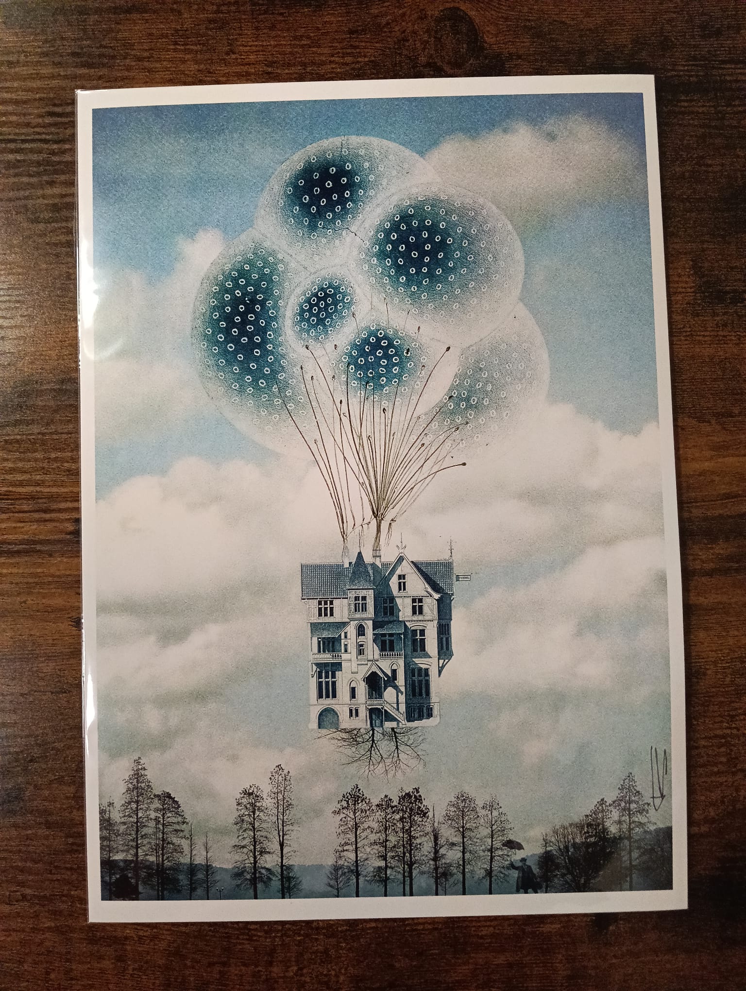 Lámina Raíces y Globos