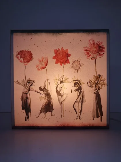 Caja de Luz - El Vals de las Flores