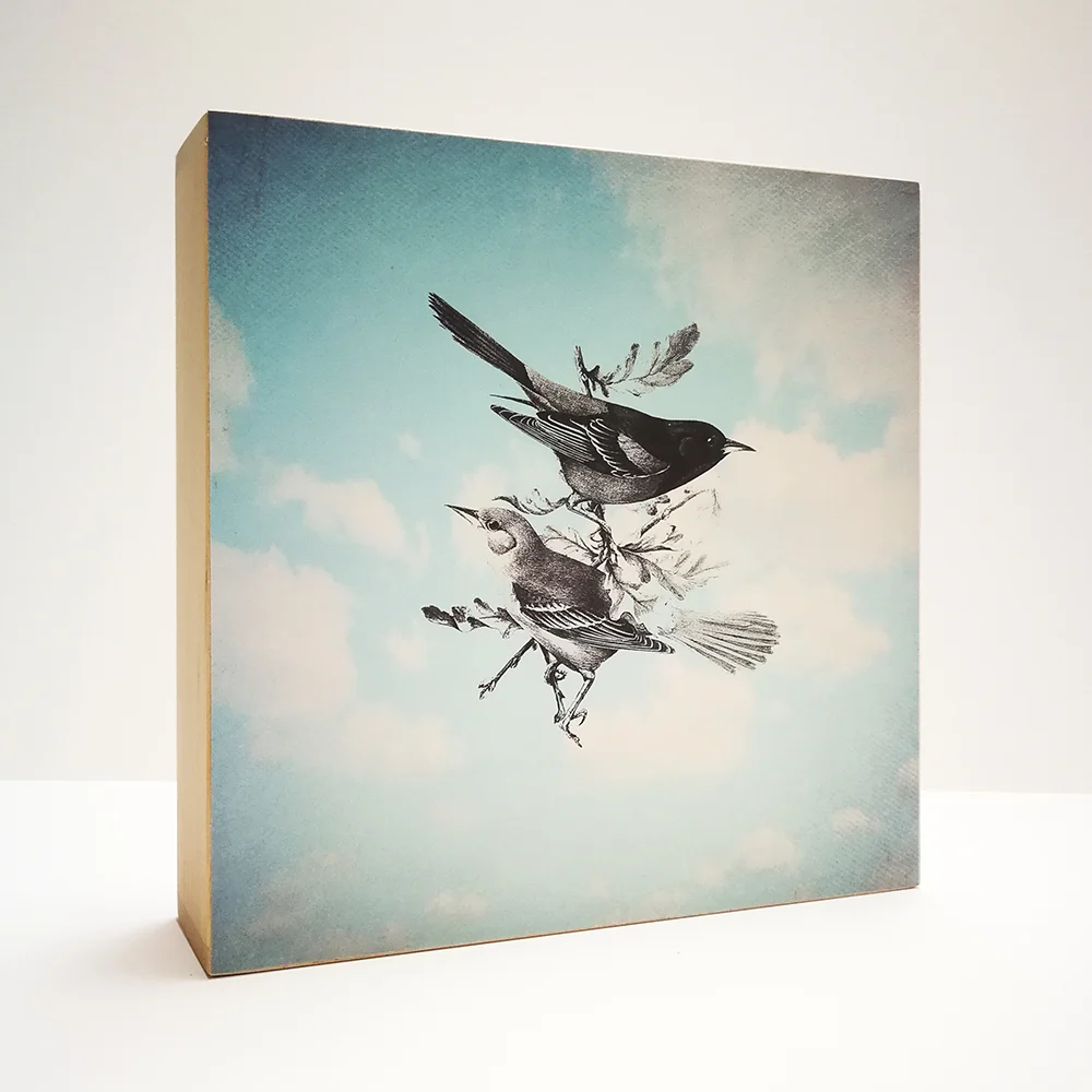 Caja de Luz - Vuela - Imagen 2