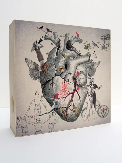 Caja de Luz - Corazón Nido